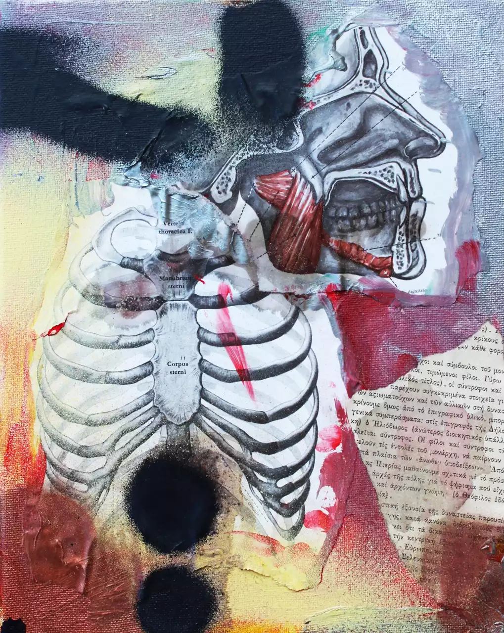 Myologia VII by Merita Koskimies